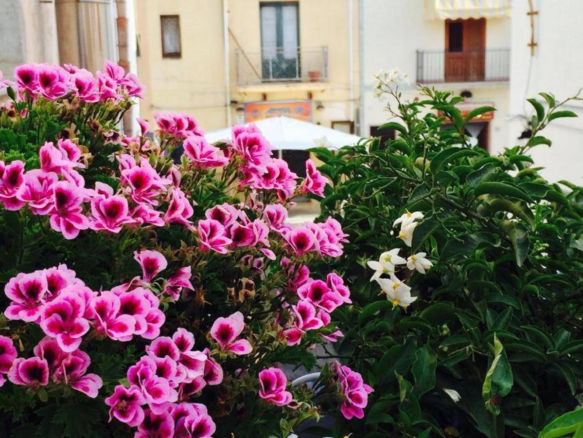 Ai Dammusi Rooms San Vito Lo Capo Exterior foto